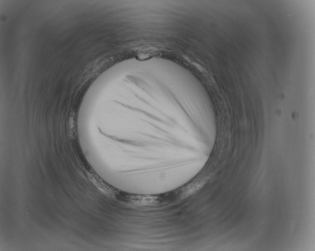 X0000081430288200702092207