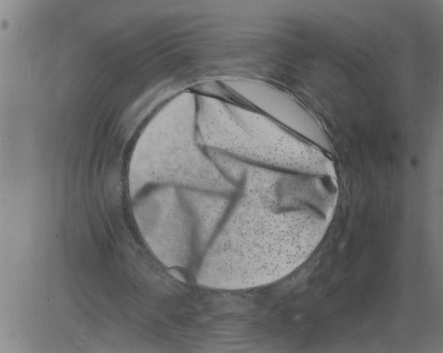 X0000081430290200702092206