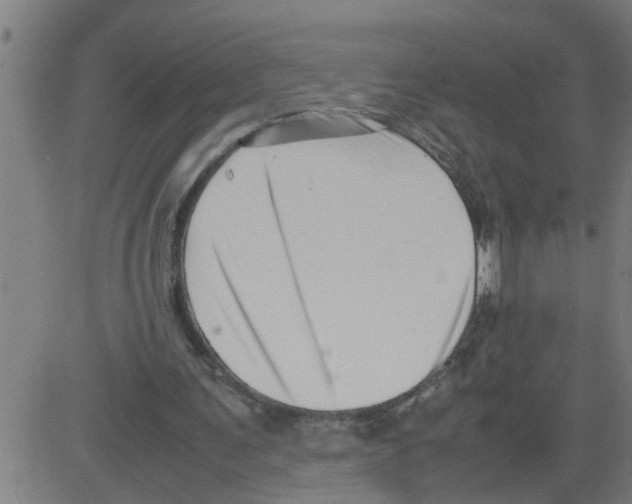 X0000081430291200702092206