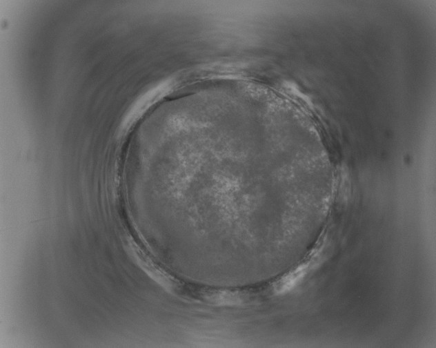 X0000081430293200702092206