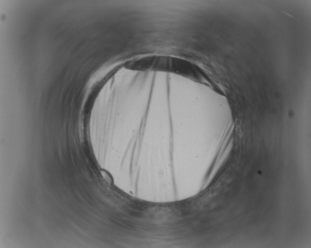 X0000081430294200702092206