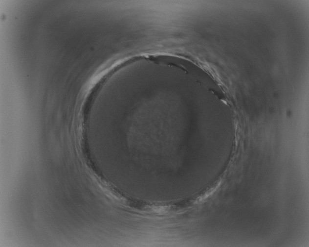 X0000081430295200702092206