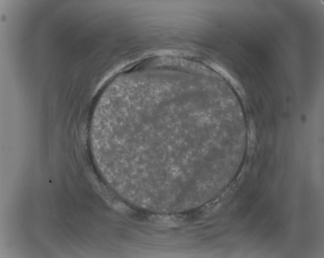 X0000081430297200702092206