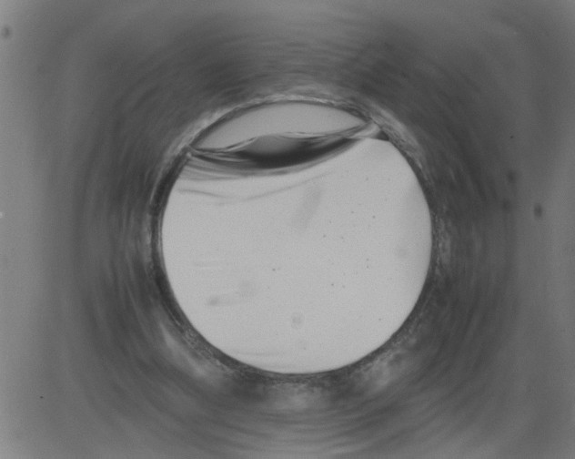 X0000081430298200702092206