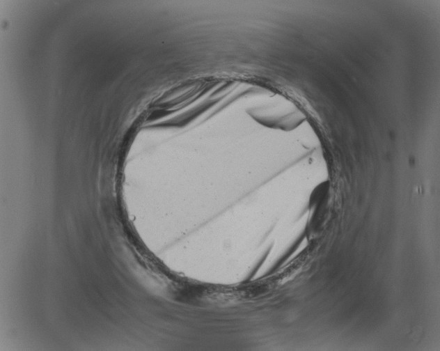 X0000081430299200702092206