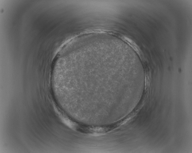 X0000081430301200702092206