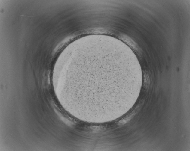 X0000081430302200702092206