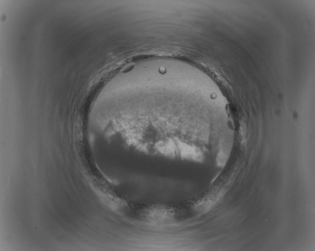 X0000081430303200702092206