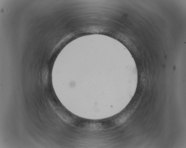 X0000081430304200702092206