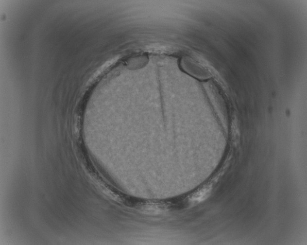 X0000081430305200702092206