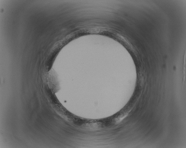 X0000081430307200702092206