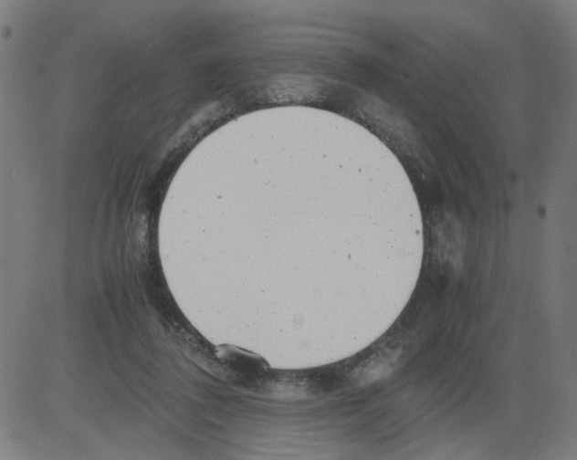 X0000081430308200702092206