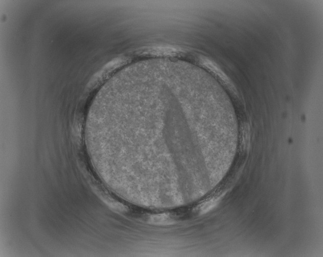 X0000081430309200702092206