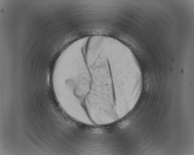 X0000081430310200702092206