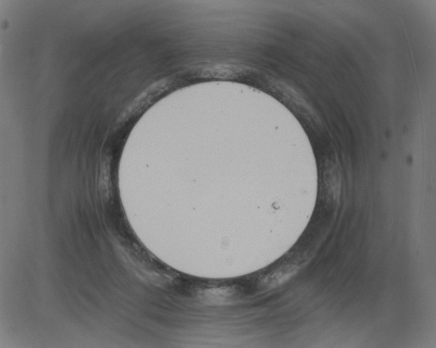 X0000081430312200702092206