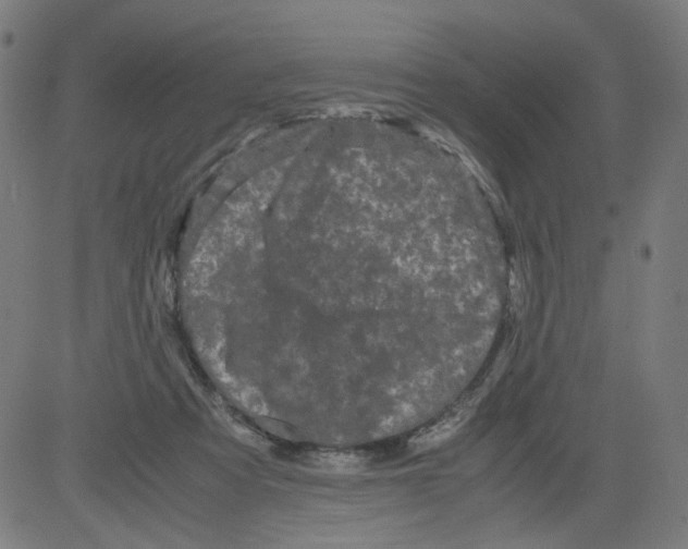 X0000081430313200702092206