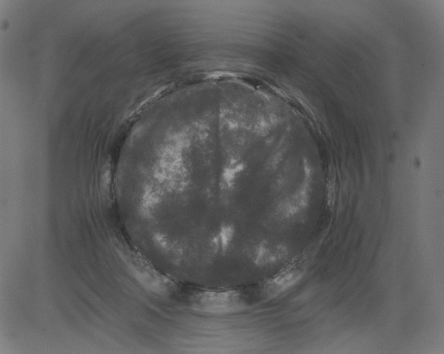 X0000081430314200702092206