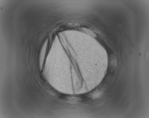 X0000081430315200702092206