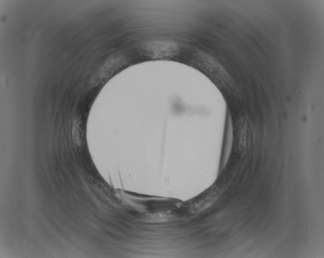 X0000081430316200702092206