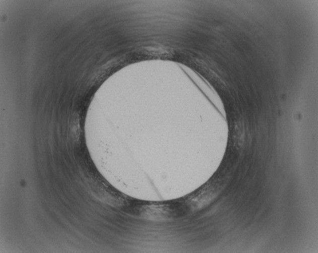 X0000081430320200702092206