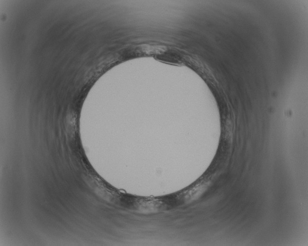 X0000081430321200702092206