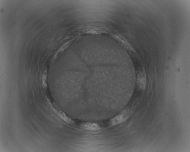 X0000081430322200702092206