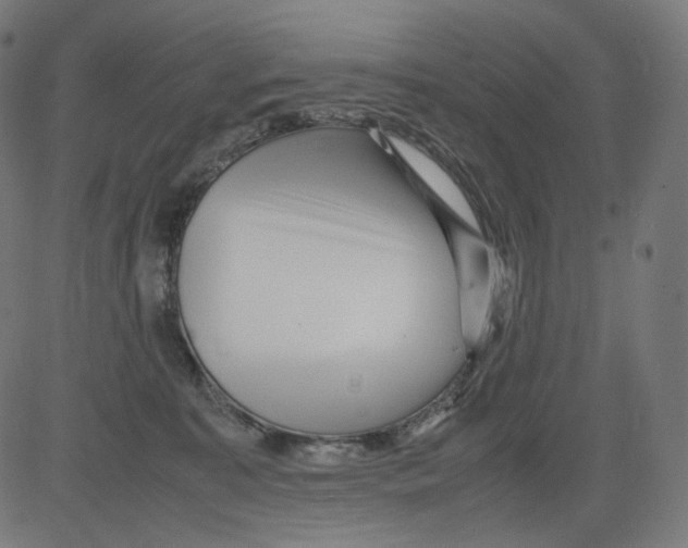 X0000081430323200702092206