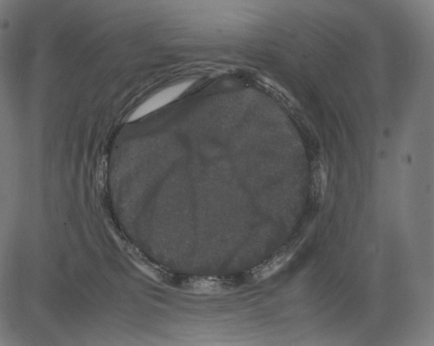 X0000081430325200702092206