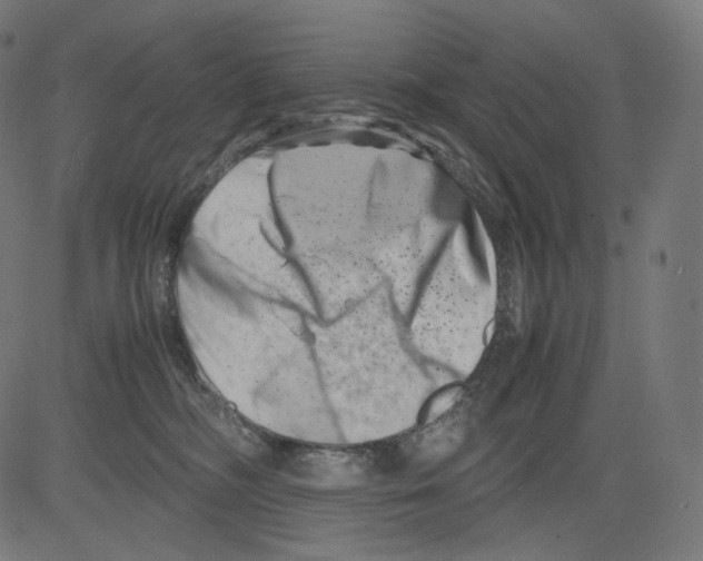 X0000081430326200702092206