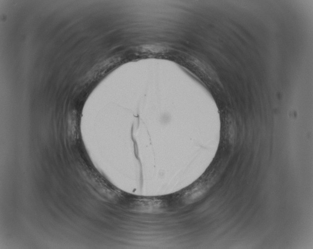 X0000081430328200702092206