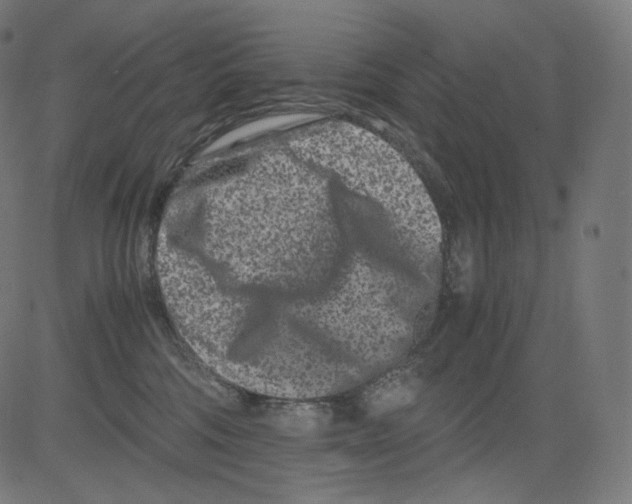 X0000081430330200702092206