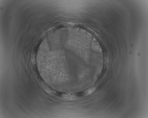 X0000081430331200702092206