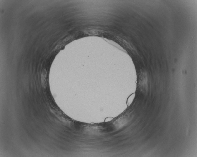 X0000081430332200702092206