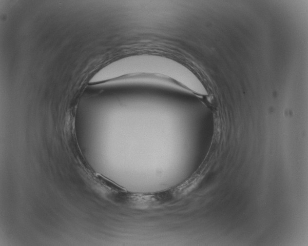 X0000081430333200702092206