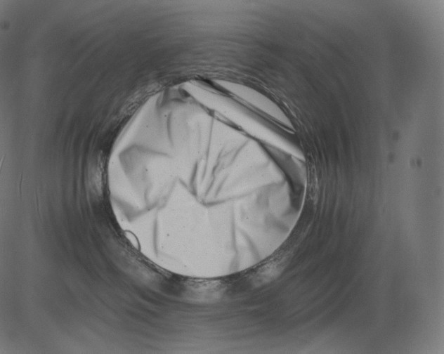 X0000081430334200702092206