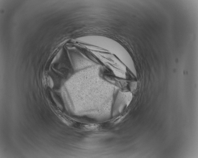 X0000081430335200702092206