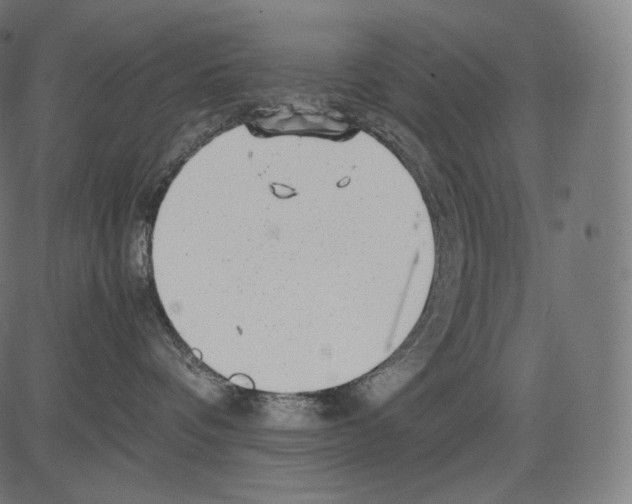 X0000081430336200702092206