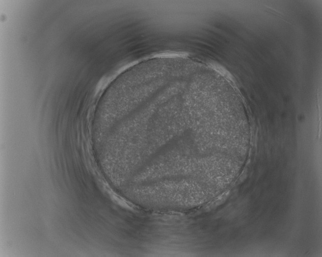 X0000081430337200702092205