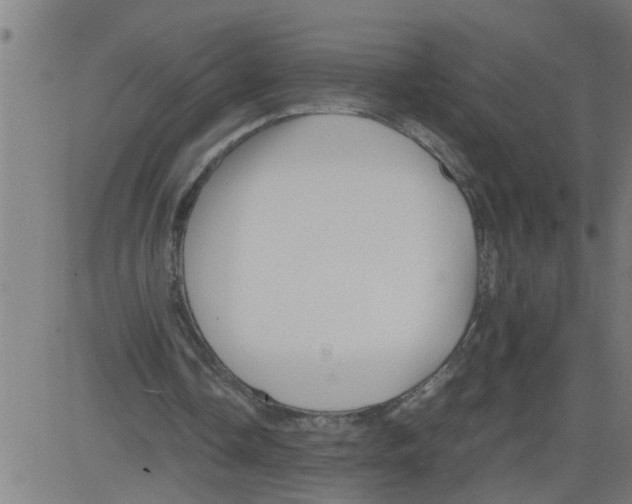 X0000081430338200702092205