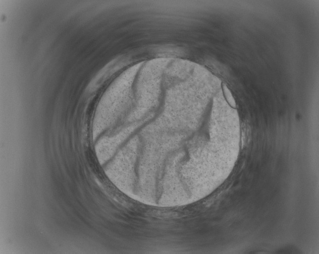 X0000081430339200702092205