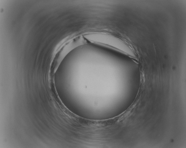 X0000081430340200702092205