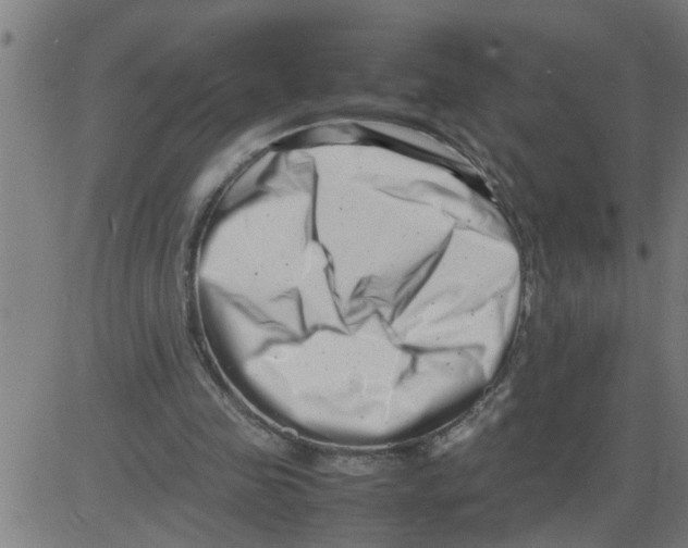 X0000081430341200702092205