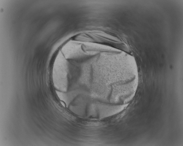 X0000081430342200702092205