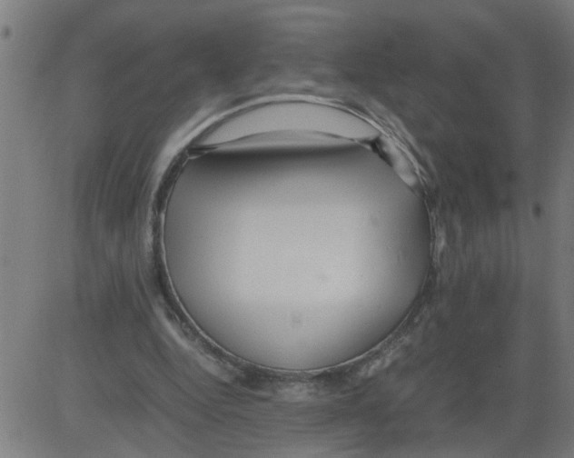 X0000081430344200702092205