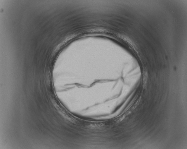 X0000081430345200702092205