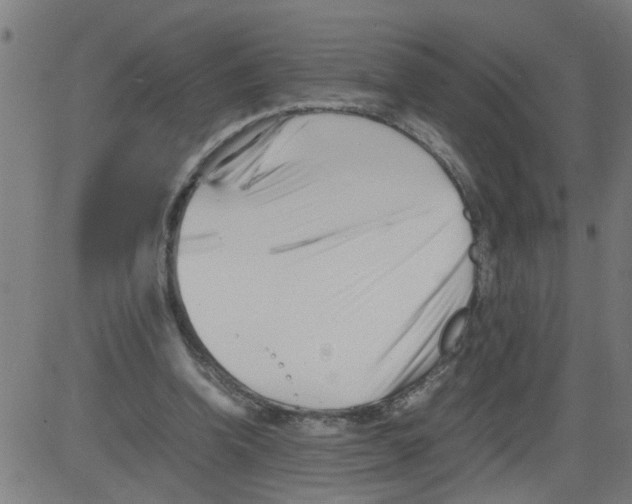 X0000081430346200702092205