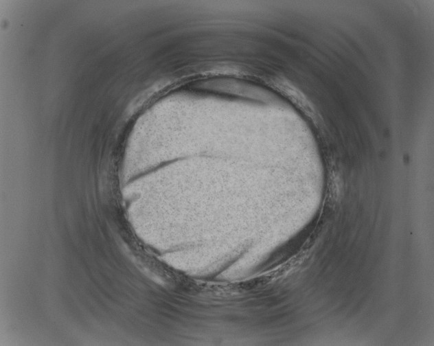 X0000081430347200702092205