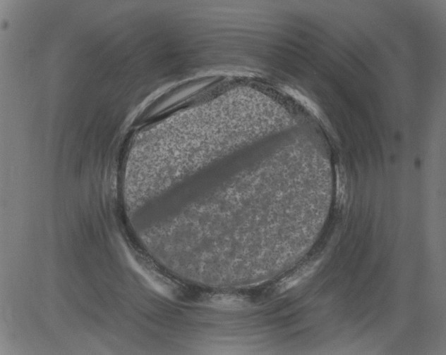 X0000081430348200702092205