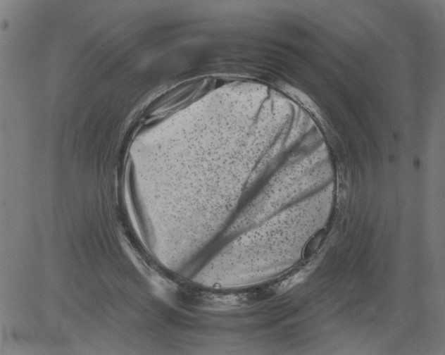 X0000081430349200702092205