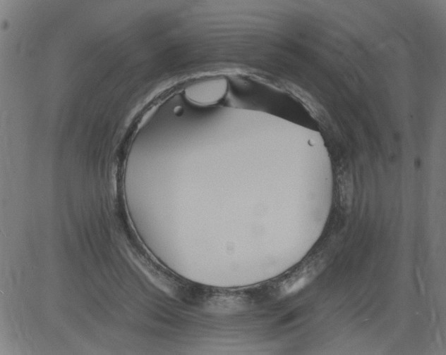 X0000081430350200702092205